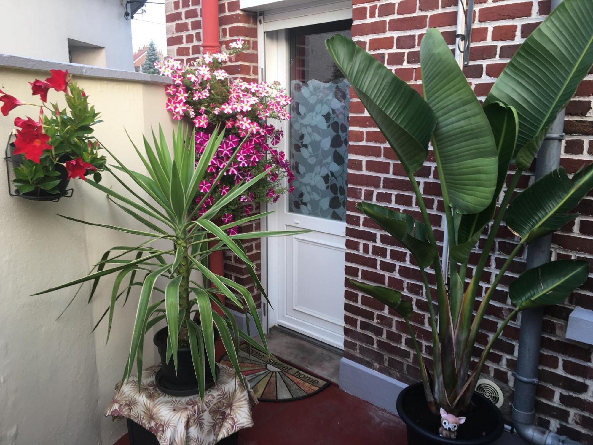 Chez Armelle Apartment Hesdin Exterior foto